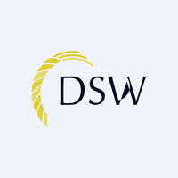 DSW logo