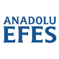 AEFES logo