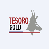 TSO logo