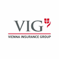 VIG logo